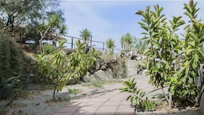 รูปภาพที่ไม่ได้จัดประเภท, 2 จาก 40, ปุ่ม