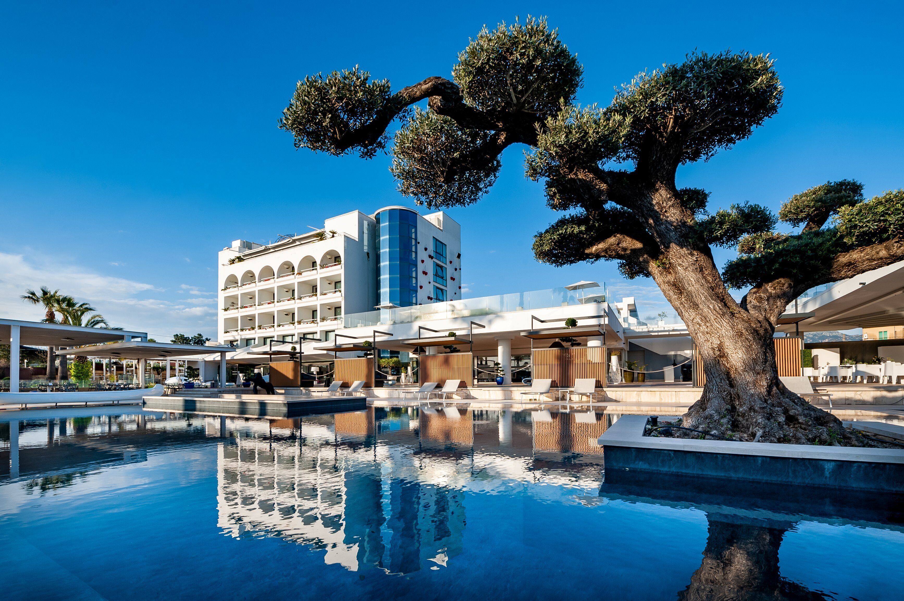 A modern hotel with a pool, a large tree, and a building with balconies.