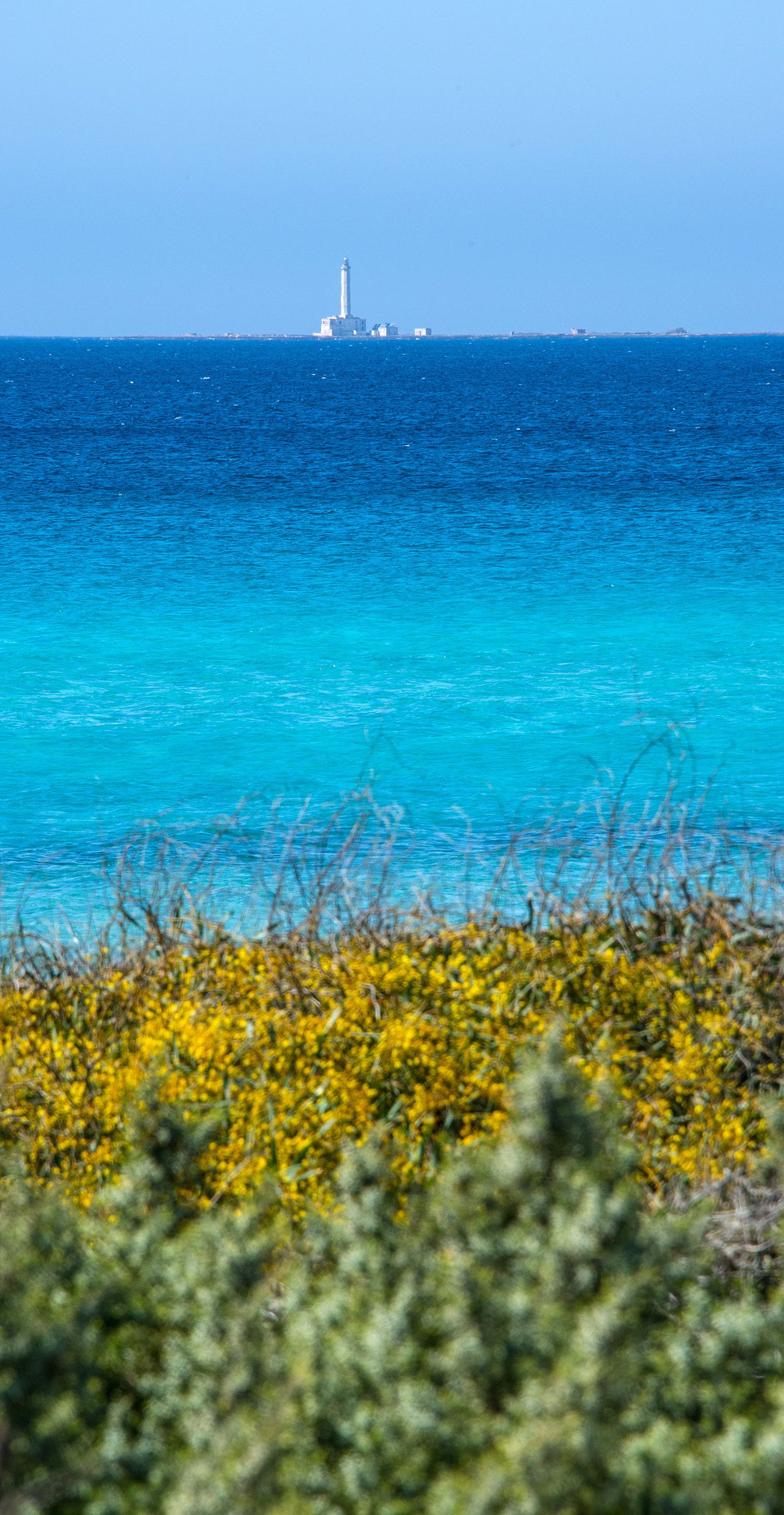 Foto - Ecoresort Le Sirene - Caroli Hotels