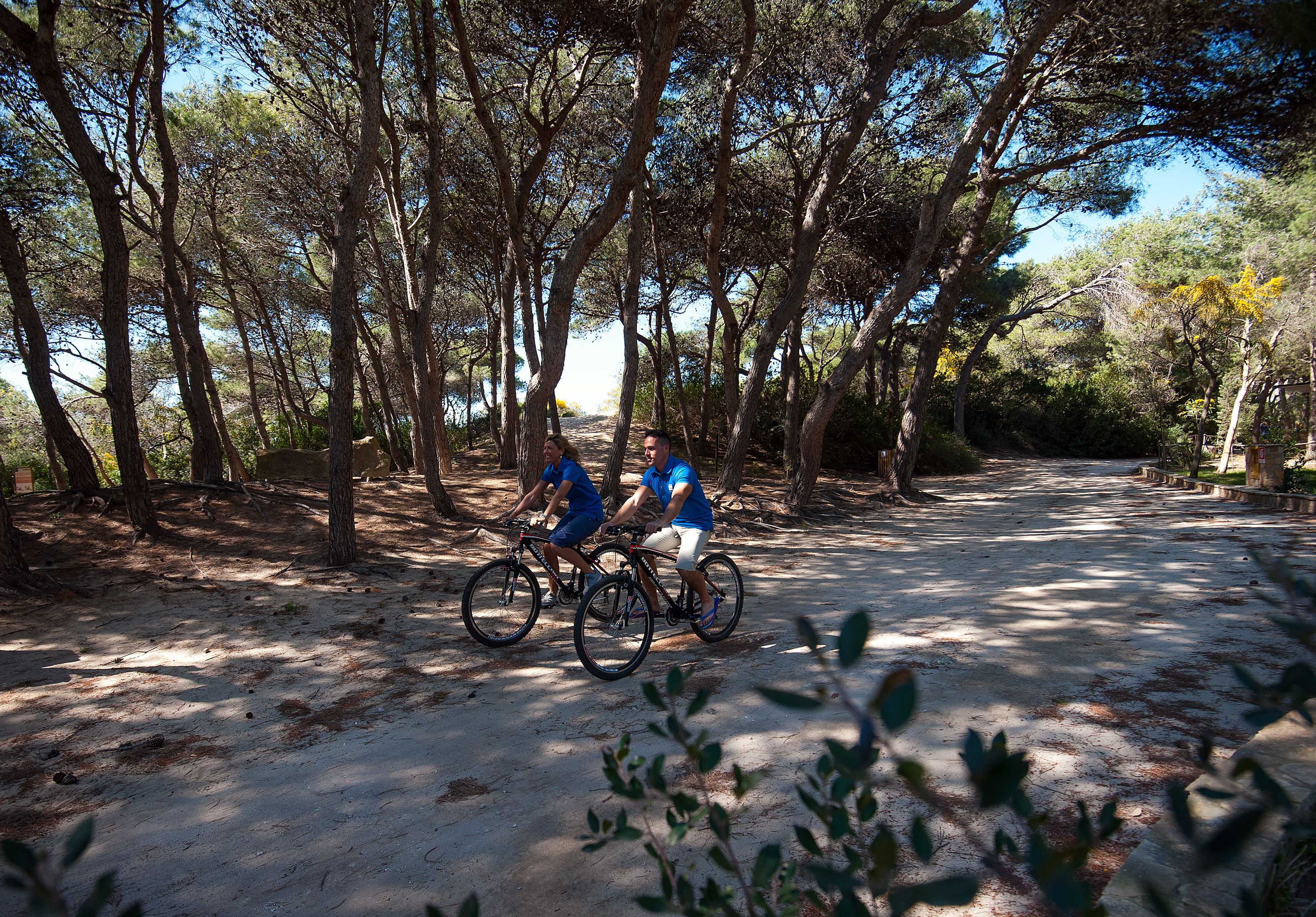 Dos personas andando en bicicleta por un camino pavimentado bordeado de árboles.
