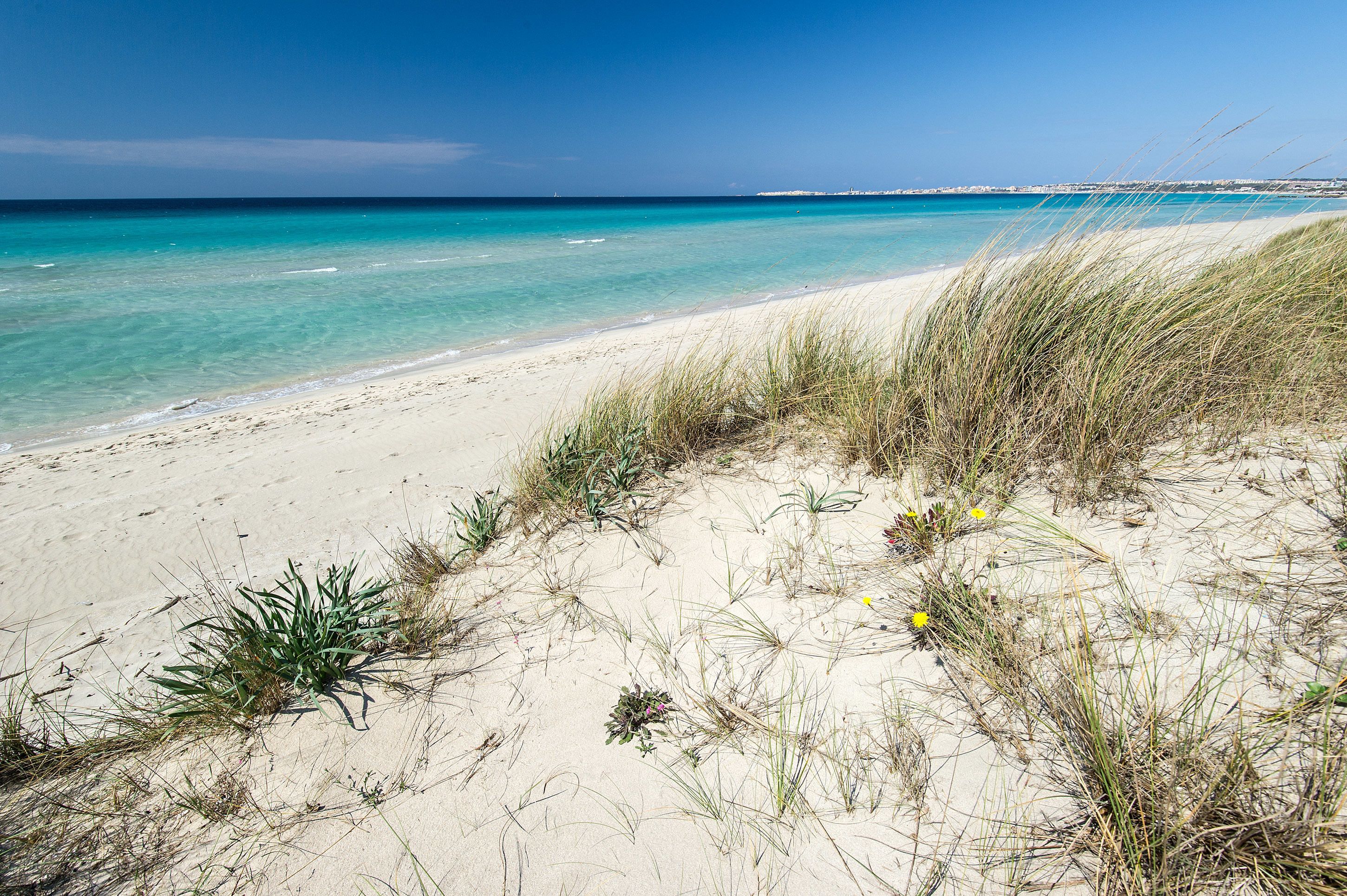 Vue depuis l’hébergement