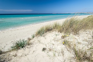 Una playa con agua turquesa cristalina, orilla arenosa y vegetación escasa.