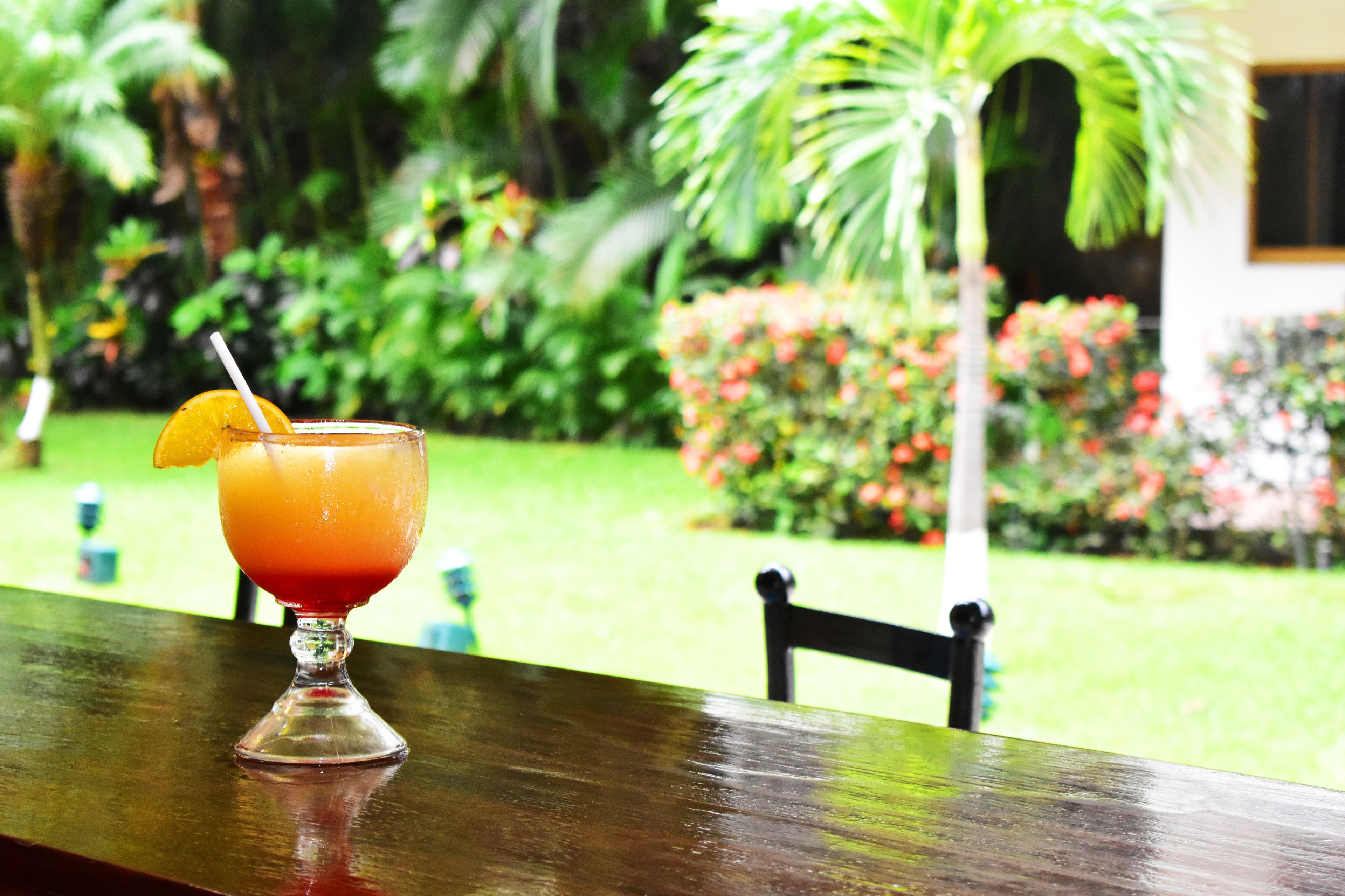Una bebida tropical sobre una mesa de madera, con un jardín exuberante al fondo.