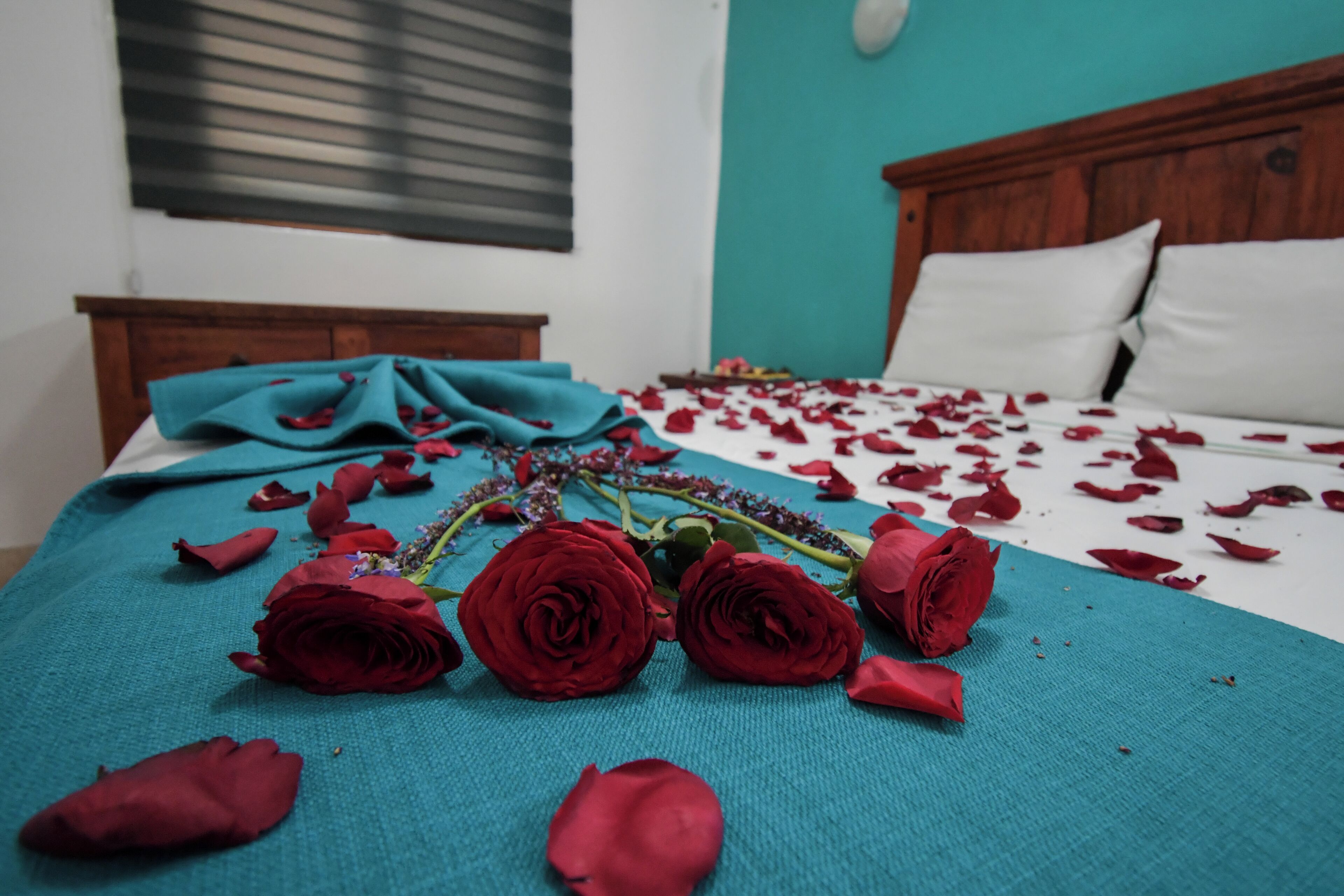 Foto - Hotel Casa Iguana Mismaloya