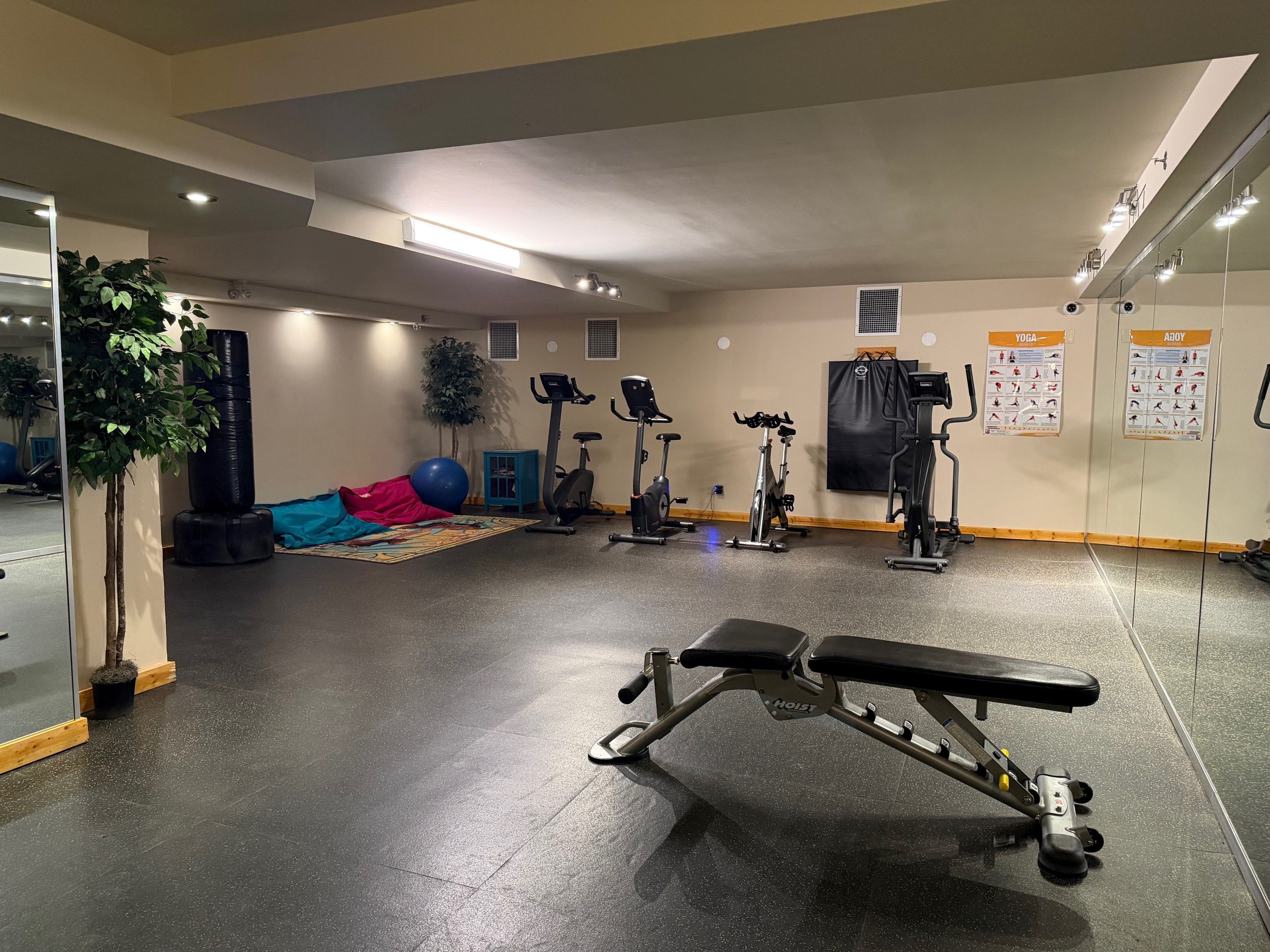 A gym with exercise equipment, a bench, and a mirrored wall.