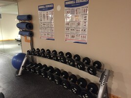 A gym with a wall-mounted dumbbell rack and exercise posters.