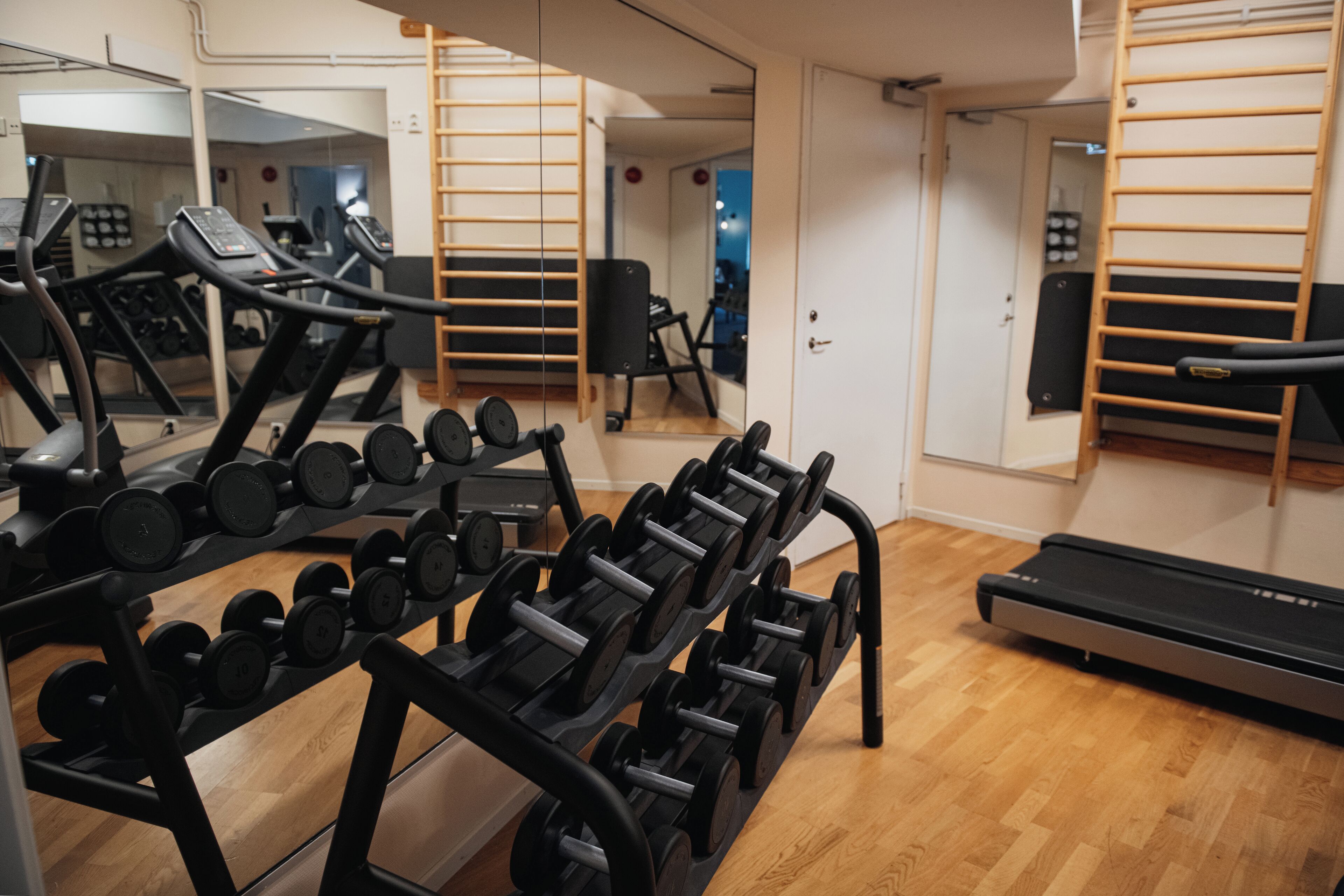 A gym with treadmills, dumbbells, and a mirrored wall.