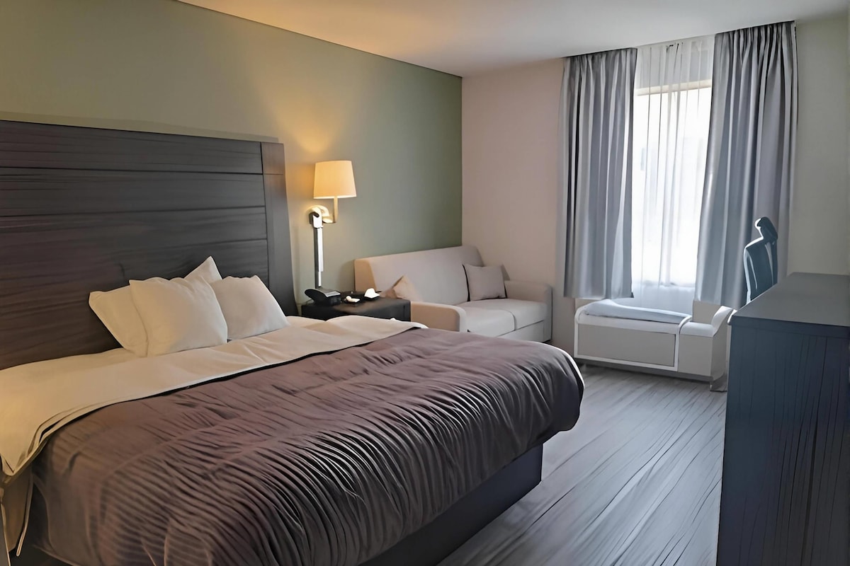 Chambre Standard, 1 très grand lit, non-fumeur | Accès au Wi-Fi (inclus)