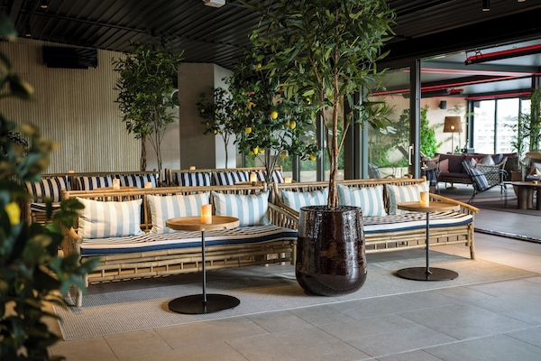 Terraza o patio