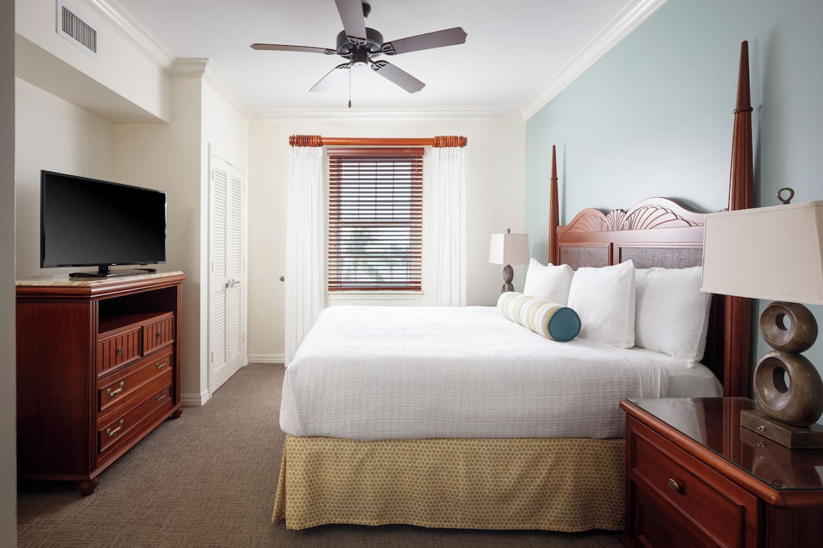 A hotel room with a bed, a TV, a ceiling fan, a window with blinds, and a nightstand with a lamp.