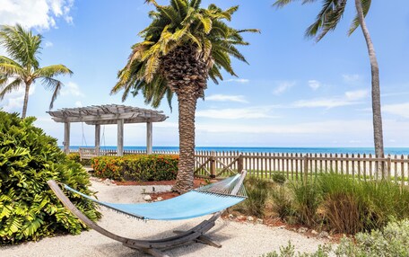 A hammock in a garden with a wooden pergola, palm trees, and a view of the ocean.