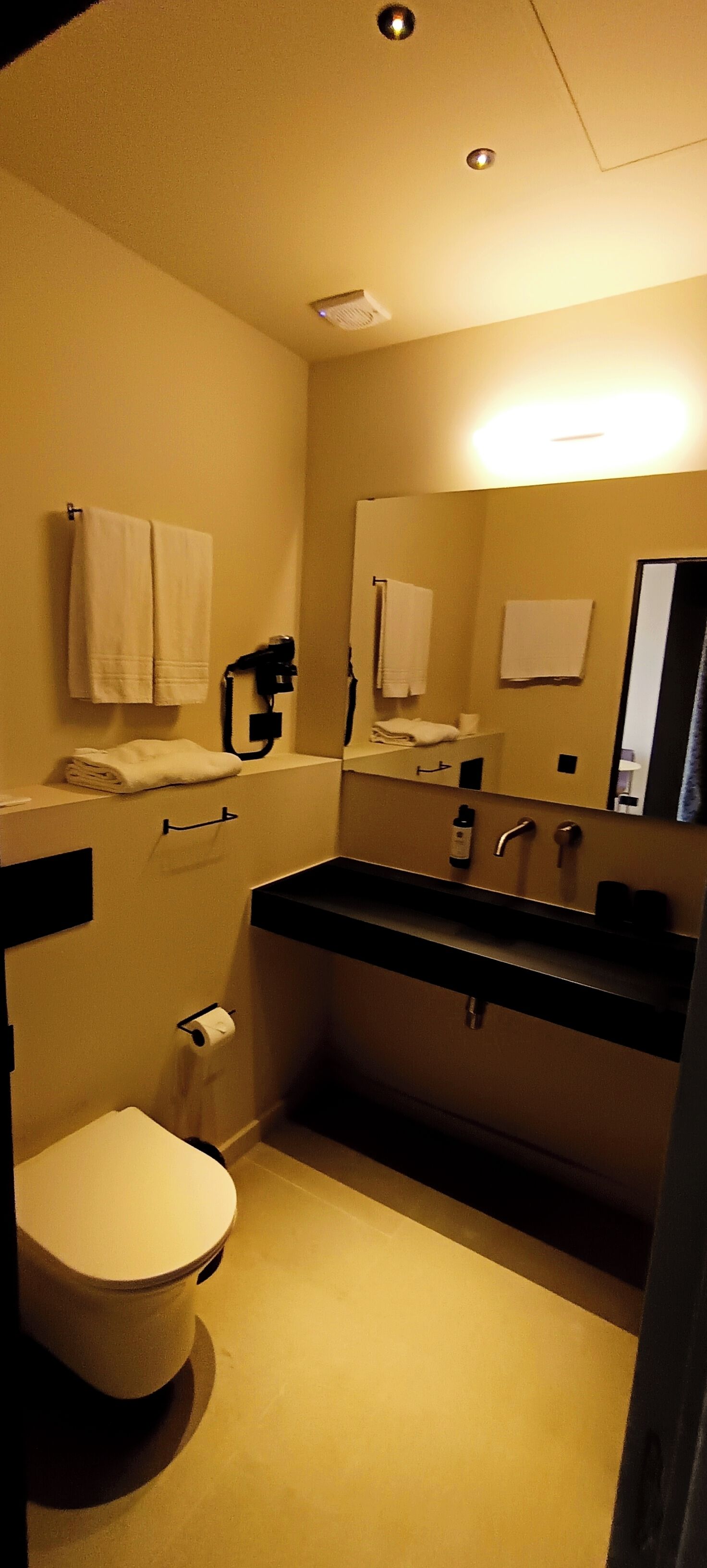 A compact bathroom with a toilet, sink, and mirror. There are towels hanging on the wall and a hairdryer on the counter.