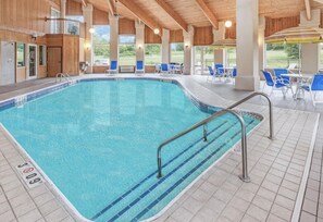Indoor pool, sun loungers