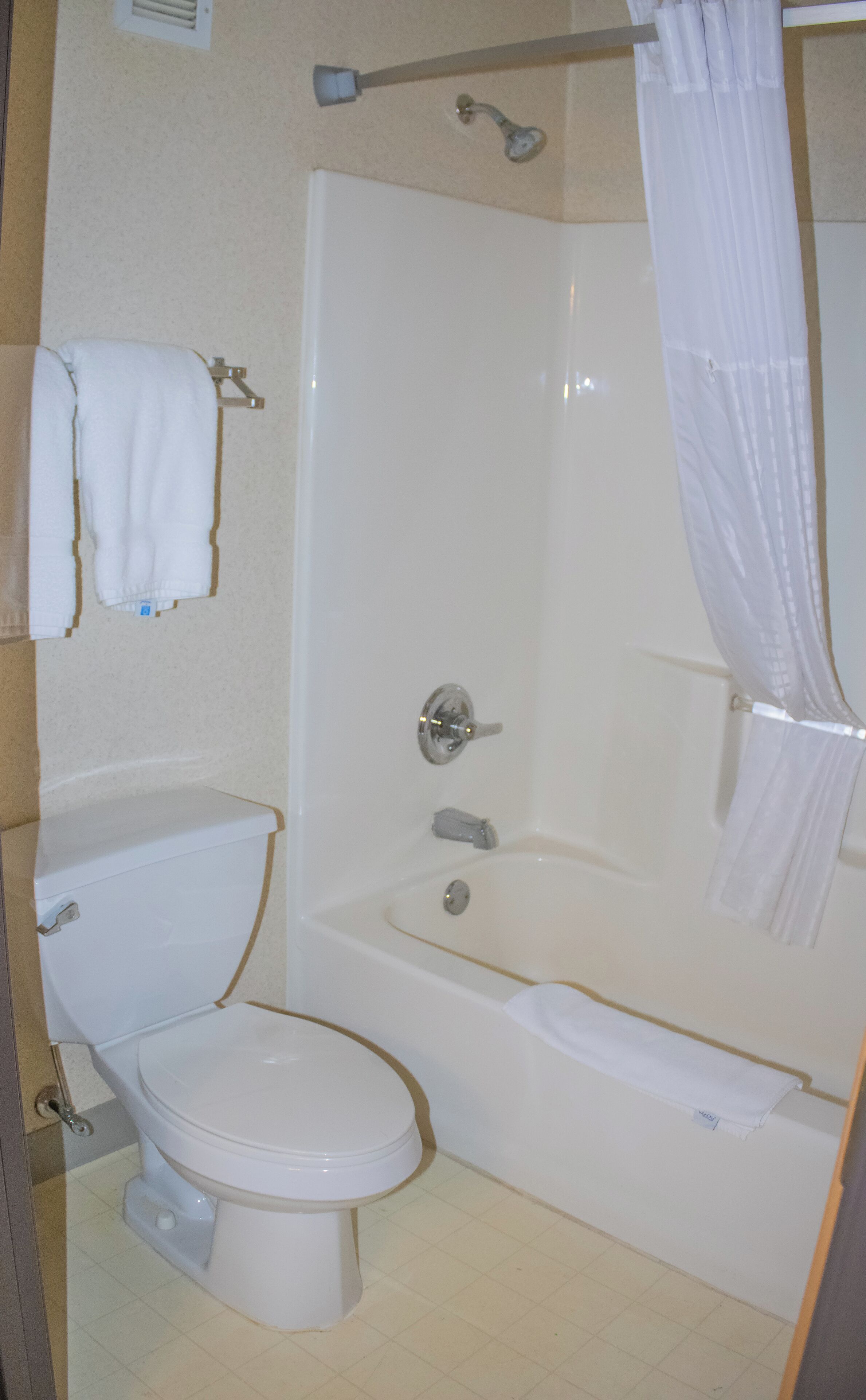 A bathroom with a toilet, a bathtub, and a shower curtain.