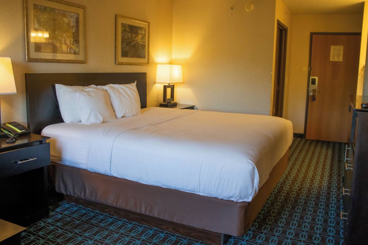 Room, 1 King Bed, Non Smoking | Pillowtop beds, desk, iron/ironing board, cribs (free)