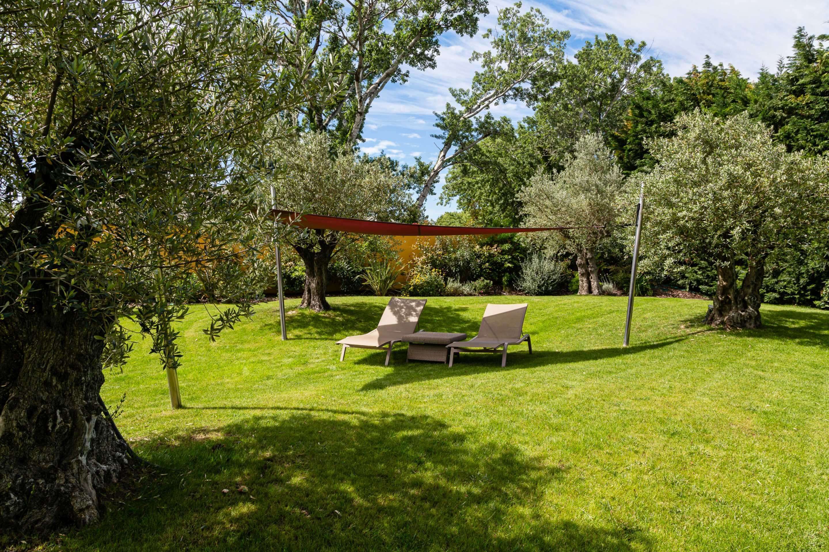 Un espace extérieur verdoyant, avec deux chaises longues sous un auvent rouge, entouré d’arbres.