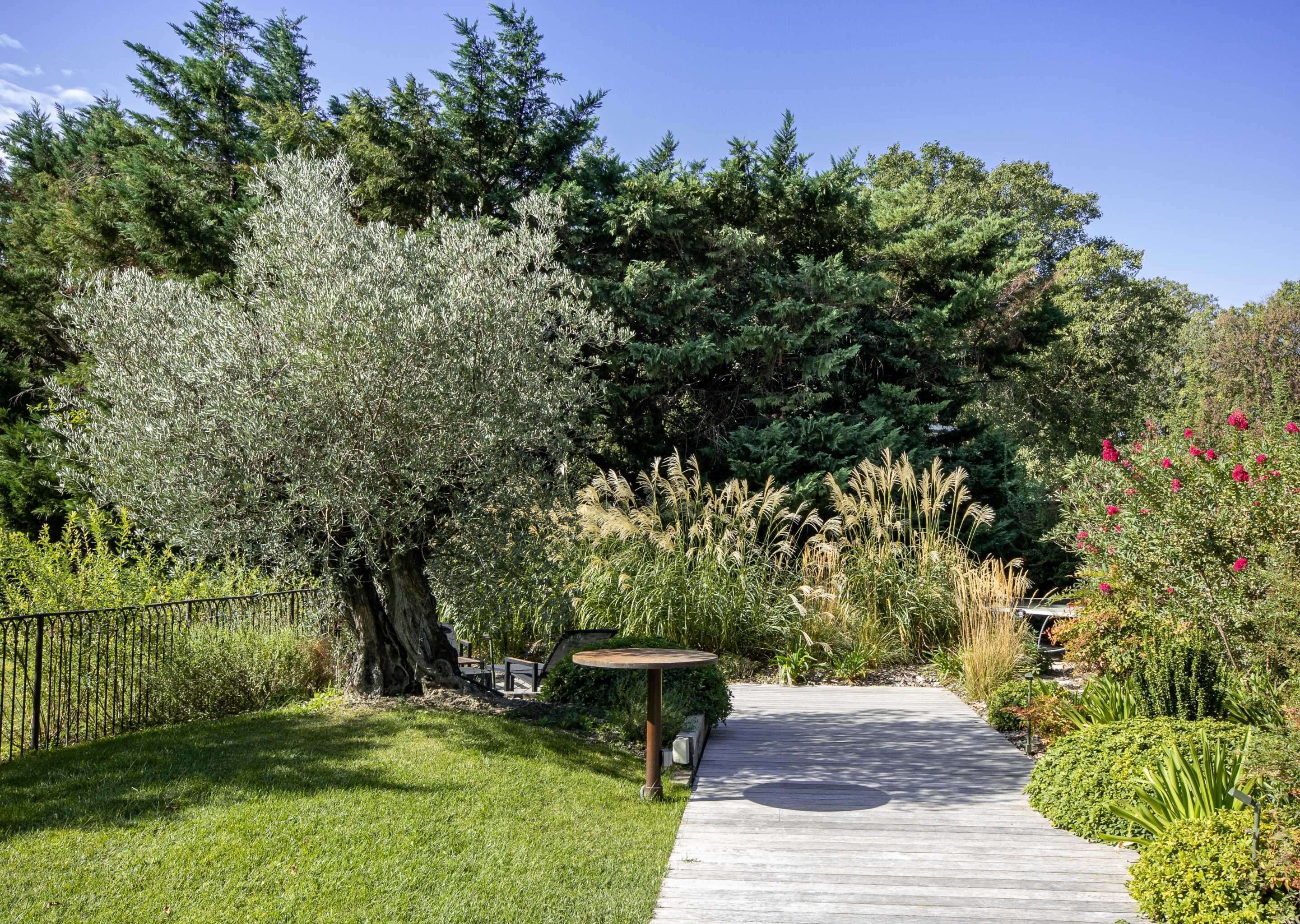 Un sendero en un jardín con una mesa de madera y bancos, rodeado de diversas plantas y árboles.