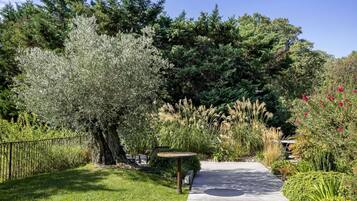 A garden pathway with a wooden table and benches, surrounded by various plants and trees.