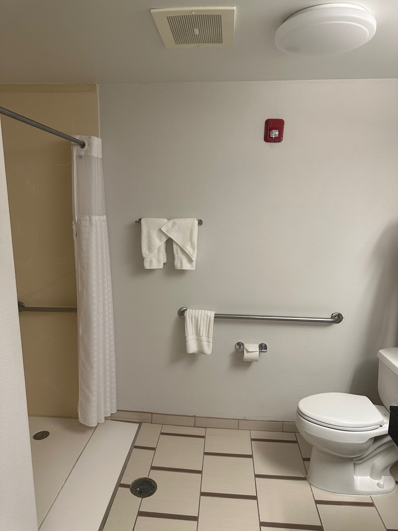 Ein Badezimmer mit Dusche, Toilette und Haltegriffen.