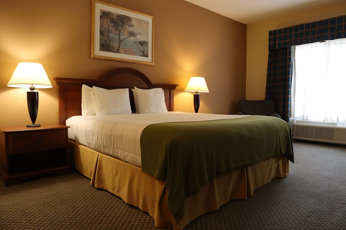 A hotel room with a large bed, two bedside lamps, a nightstand, a window with curtains, and a painting on the wall.