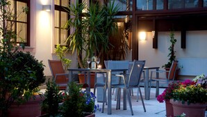 Une terrasse extérieure avec une table et des chaises, entourée de plantes et de fleurs en pot.