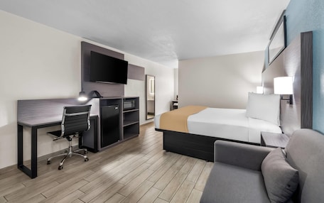 A hotel room with a bed, a desk with a chair, a TV mounted on the wall, and a bedside table with a lamp.