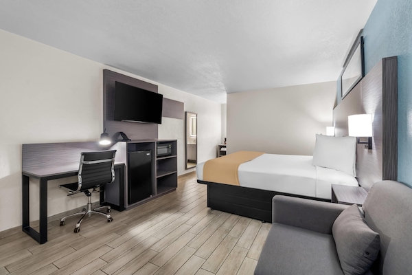 Room, 1 King Bed, Non Smoking | Iron/ironing board, rollaway beds (surcharge), WiFi (free), alarm clocks