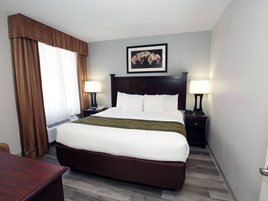 A hotel room with a large bed, two bedside tables with lamps, a framed picture on the wall, and a window with curtains.