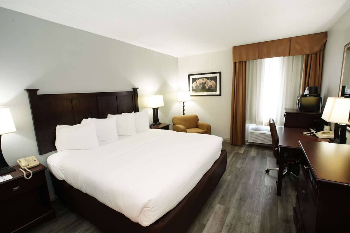 A hotel room with a large bed, a desk, a chair, a telephone, and a picture on the wall.