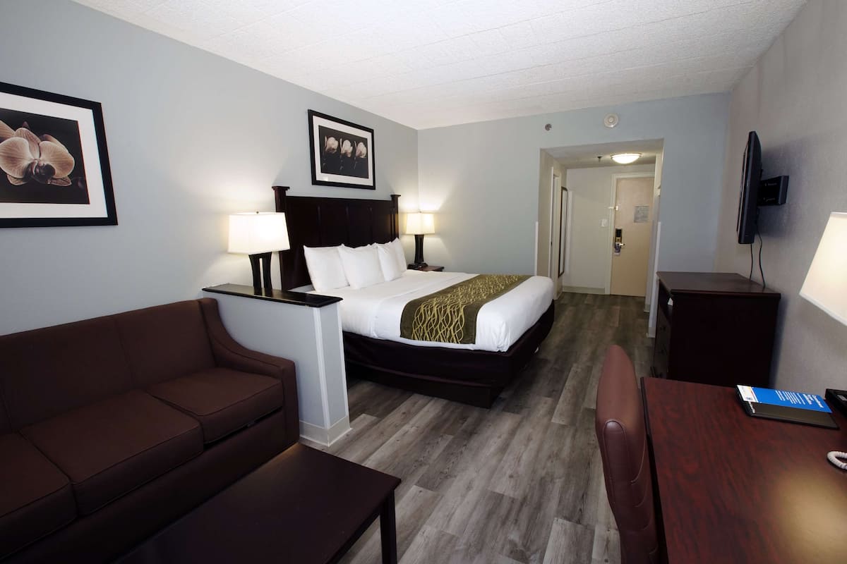 A hotel room with a bed, a sofa, a desk, and a television.