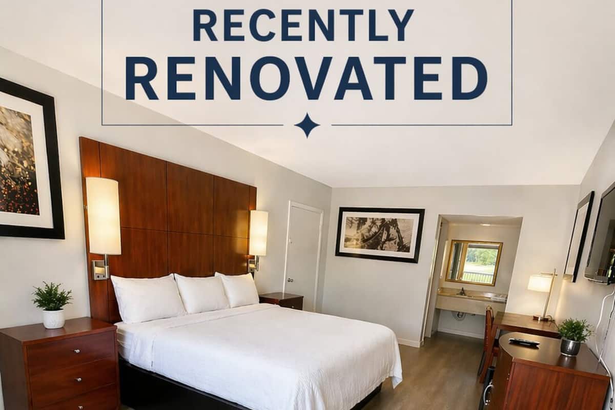 Room | Desk, blackout drapes, soundproofing, iron/ironing board