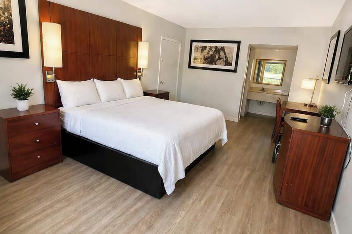 Habitación | Escritorio, cortinas blackout y insonorización