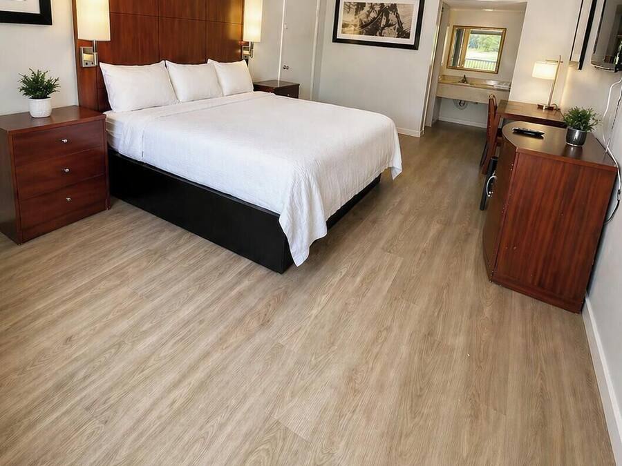 Room | Desk, blackout curtains, soundproofing, iron/ironing board