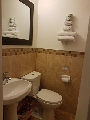 Combined shower/tub, towels