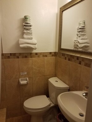 Combined shower/tub, towels