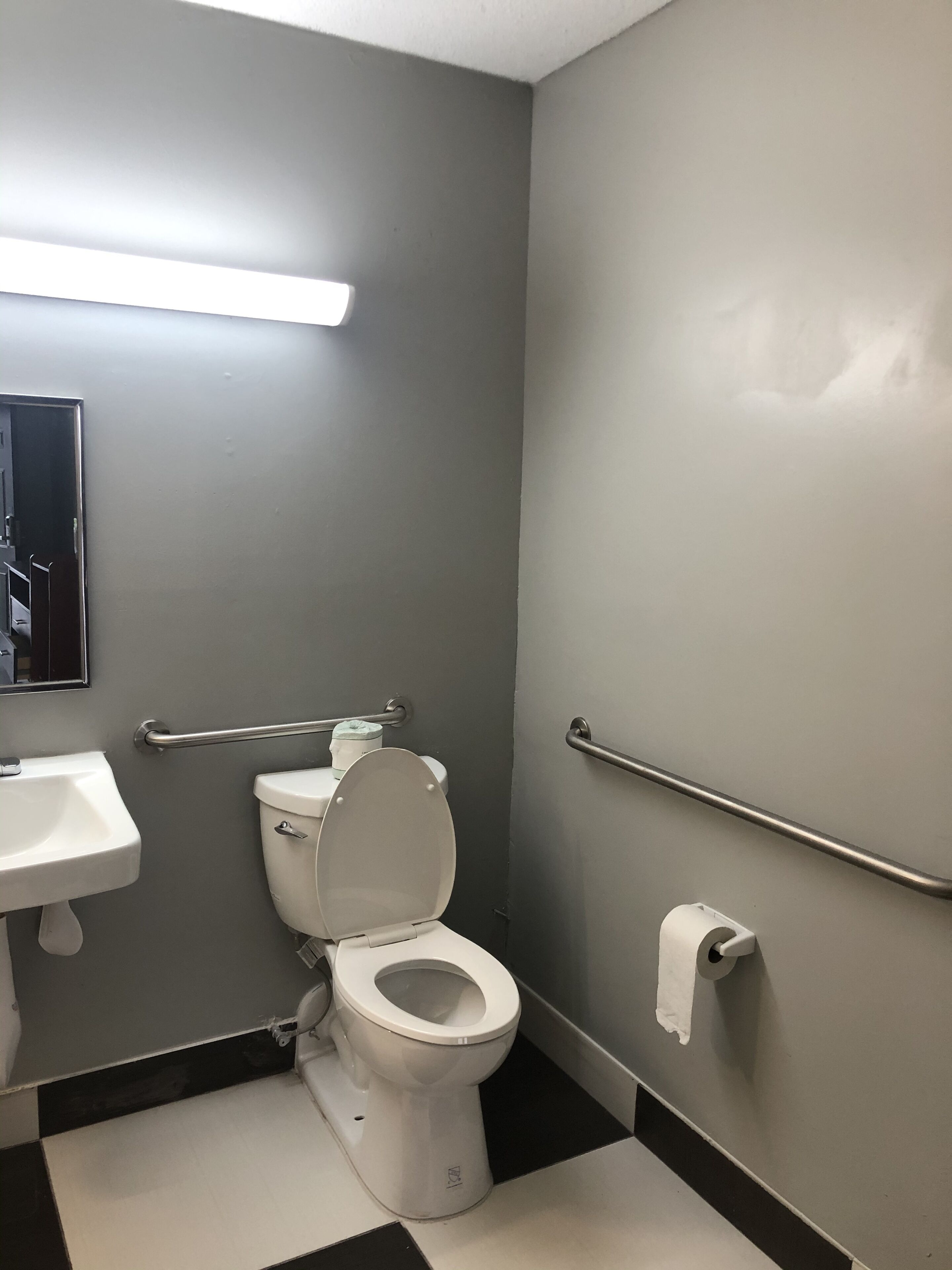 A small, modern bathroom with a toilet, sink, and handrails.