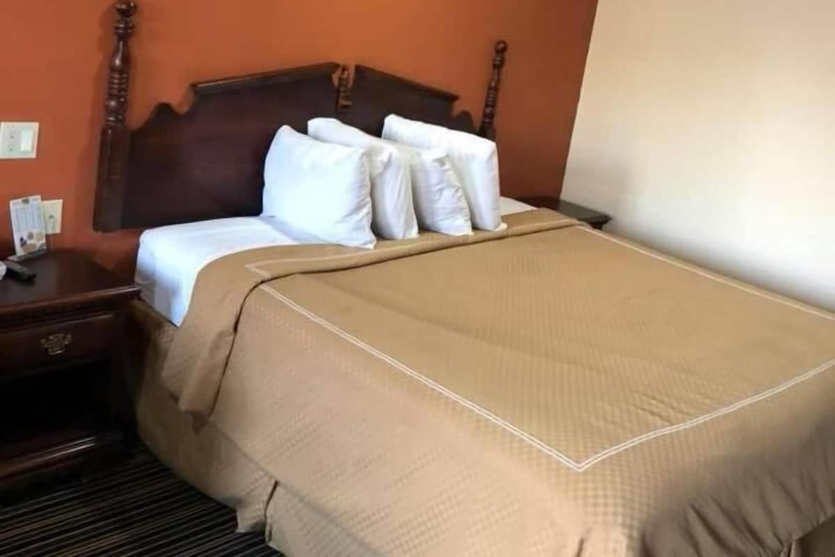 A hotel room with a wooden headboard, a bed with white linens and a beige blanket, a nightstand with a lamp, and a striped carpet.