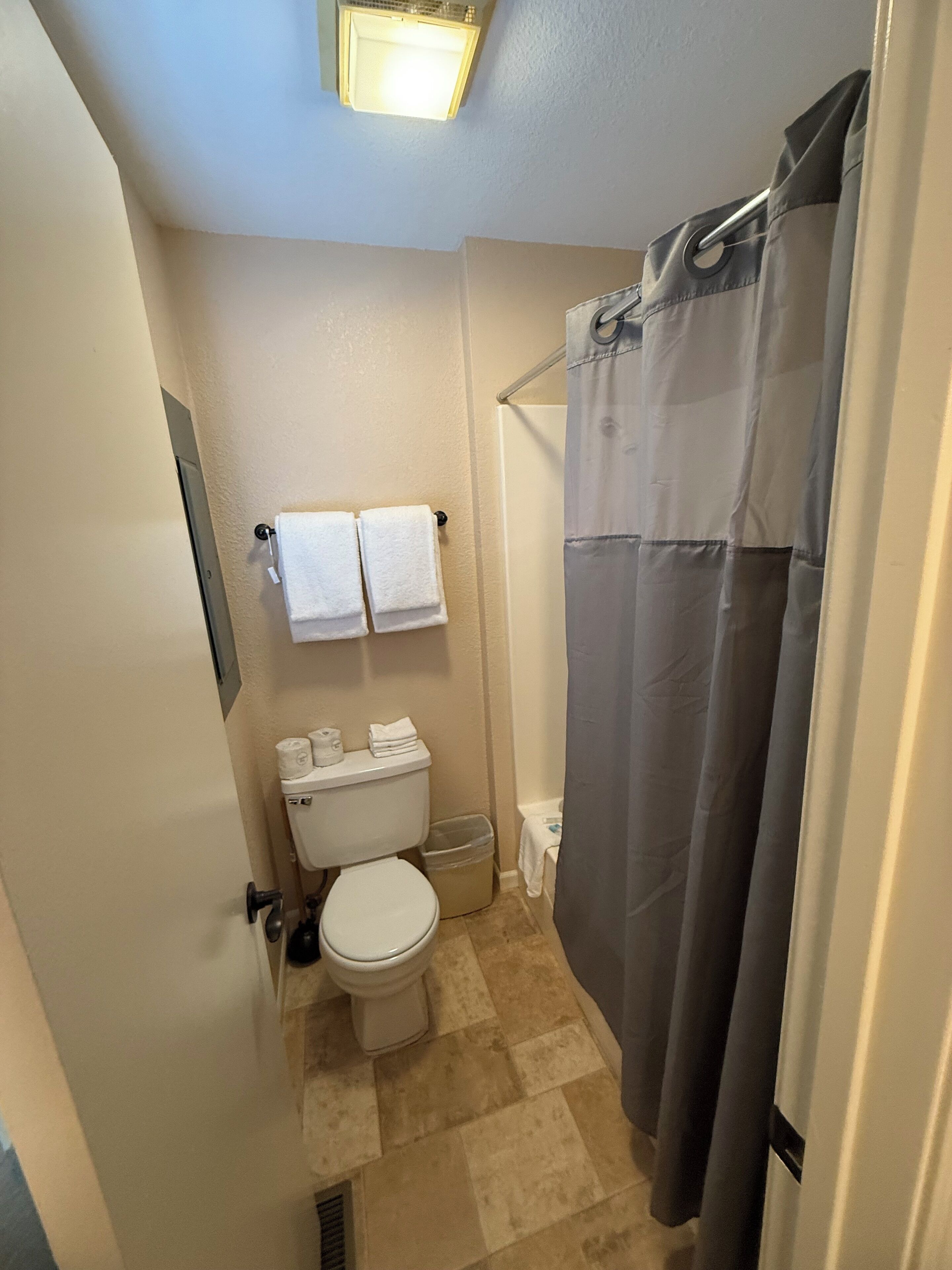 A small bathroom with a toilet, a sink, and a shower curtain.