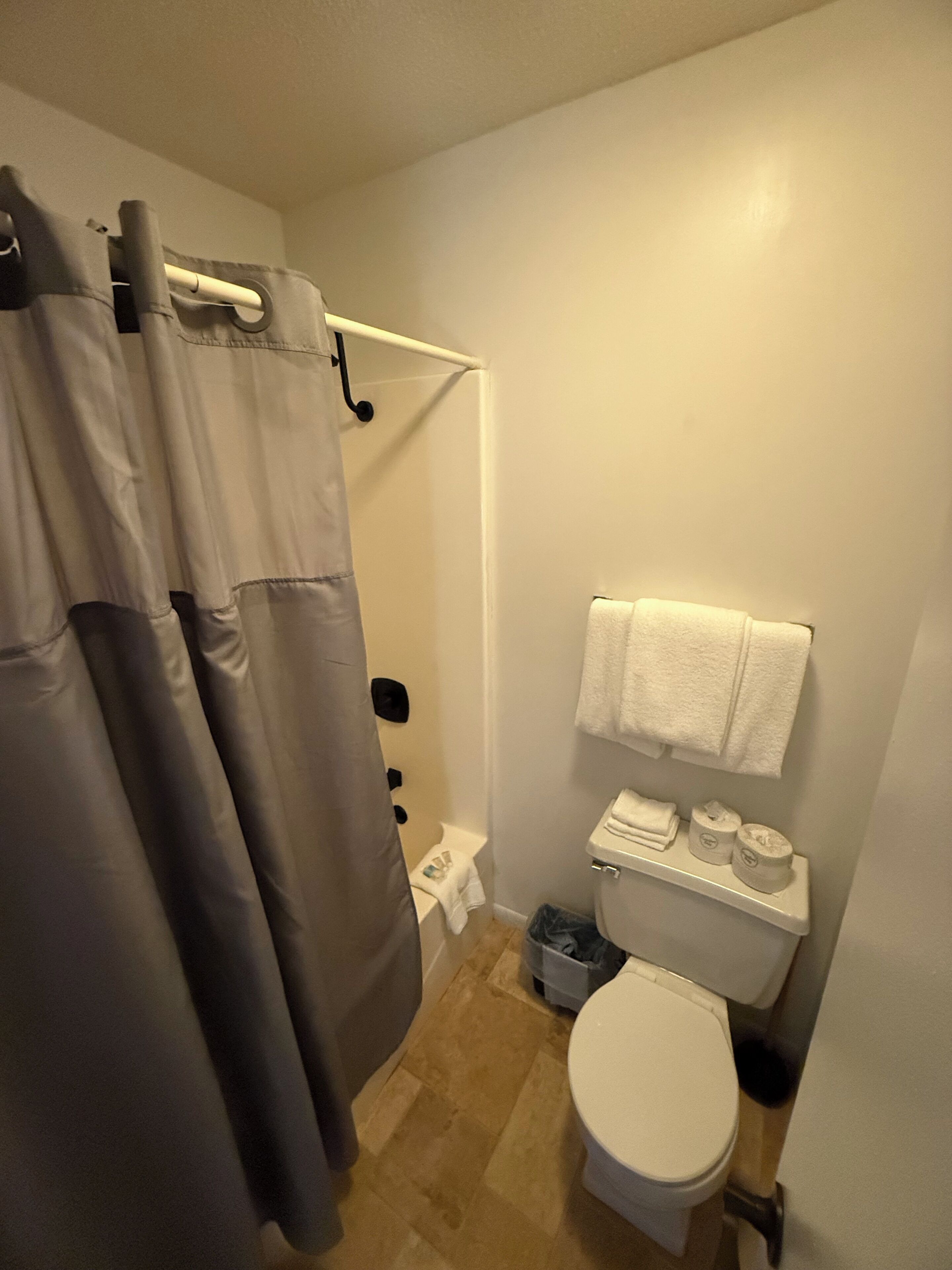 A bathroom with a shower curtain, a toilet, a towel rack, and a trash bin.