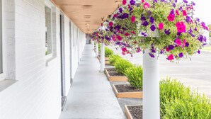 Uma galeria coberta com cestos de flores pendentes e vasos decorativos nas laterais.