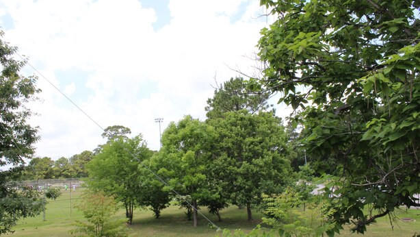 A fenced yard with trees and a sports field in the background. - Scottish Inns Westcott Street (Houston)