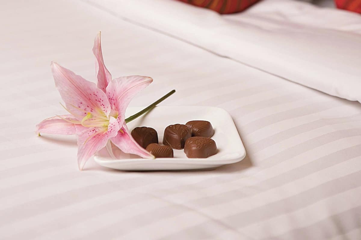 Hypo-allergenic bedding, in-room safe, individually decorated, desk