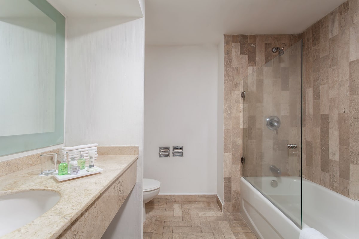 combined shower/bathtub, free toiletries, hair dryer, towels