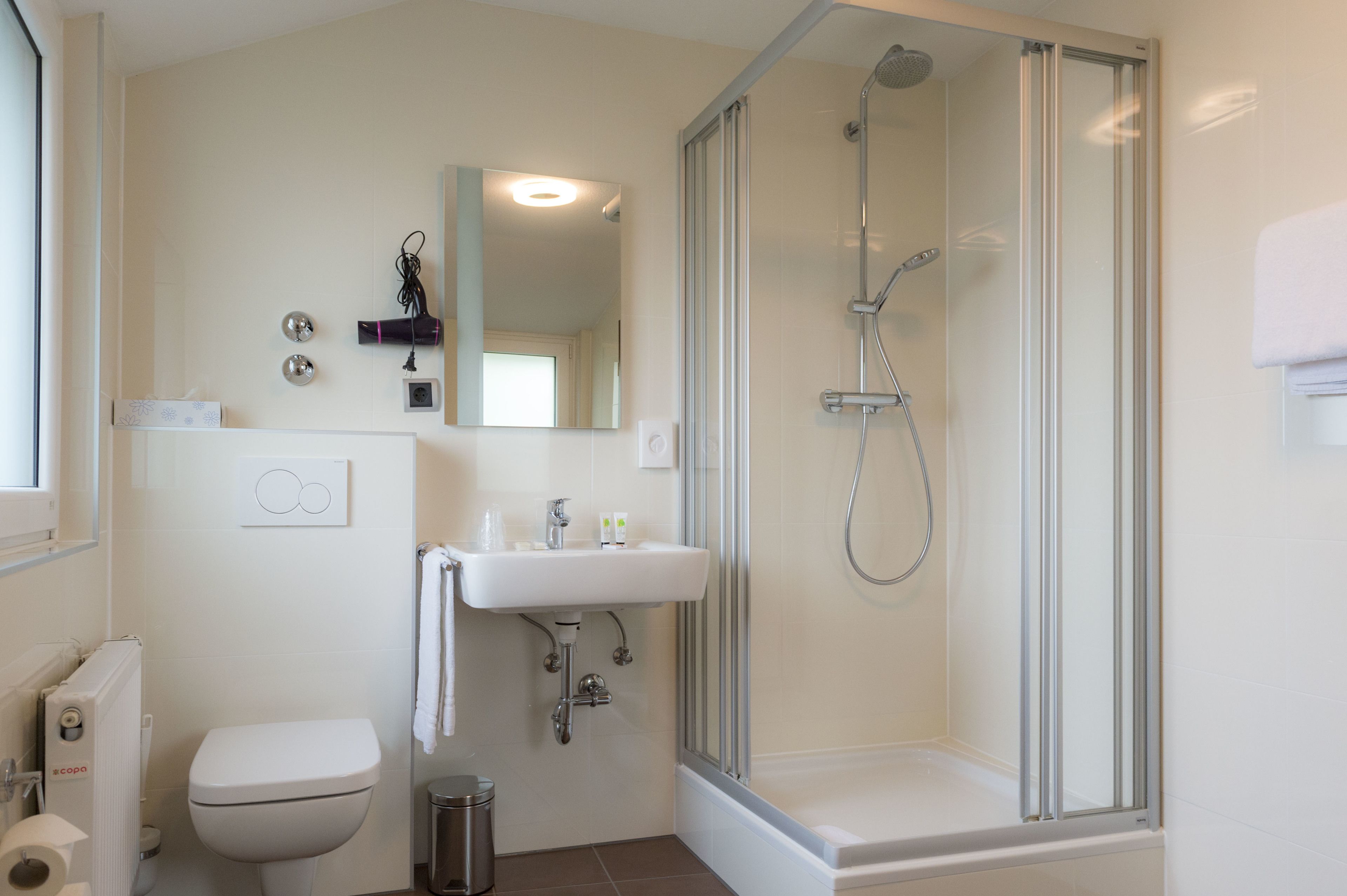 shower, free toiletries, hair dryer, towels