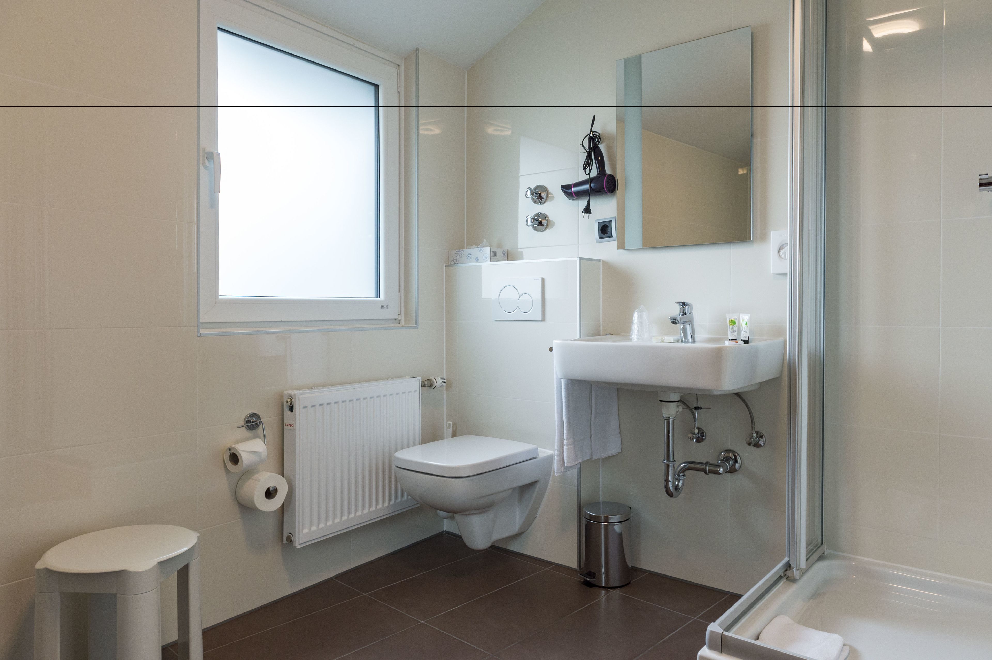 shower, free toiletries, hair dryer, towels