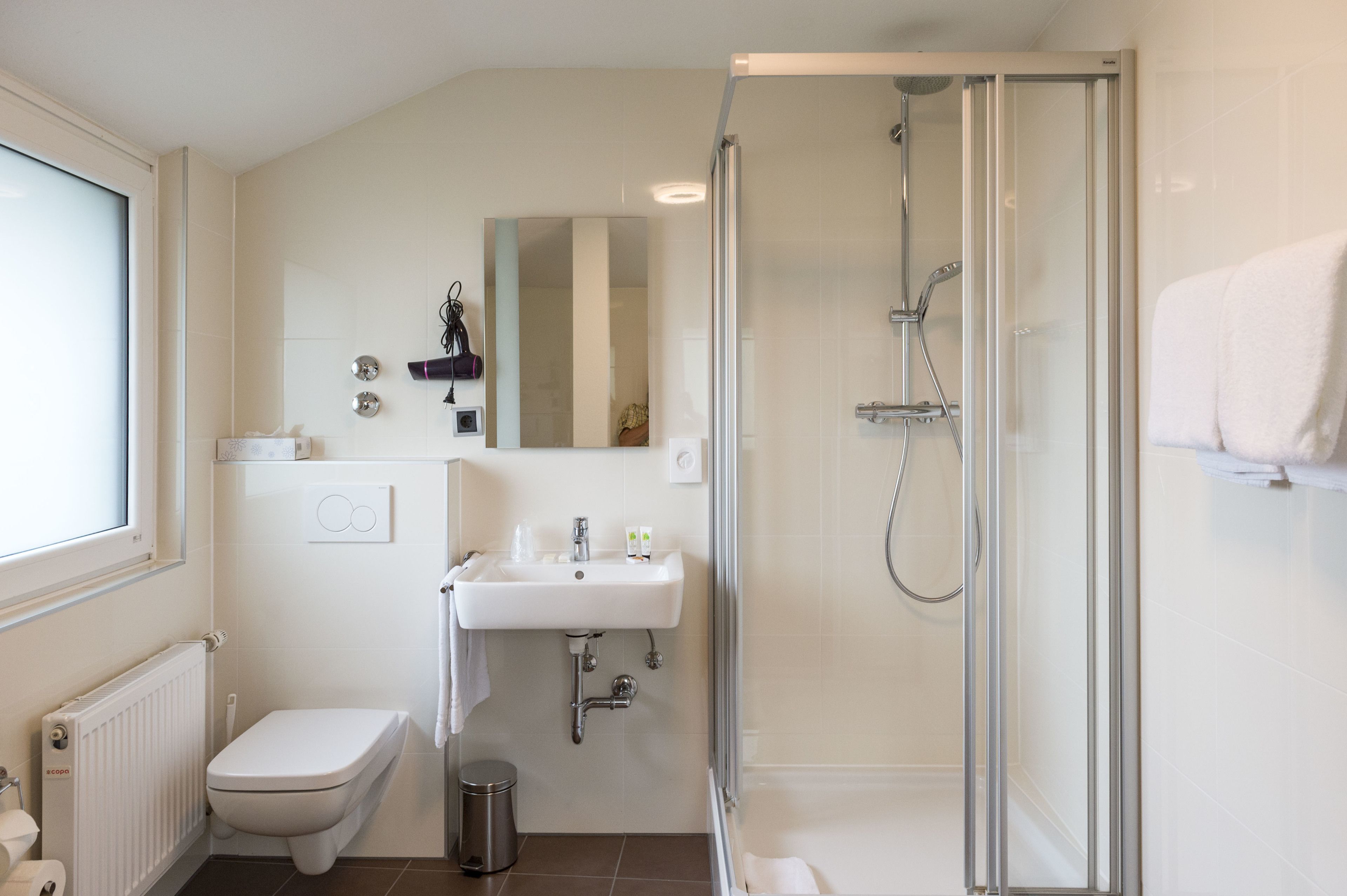 shower, free toiletries, hair dryer, towels