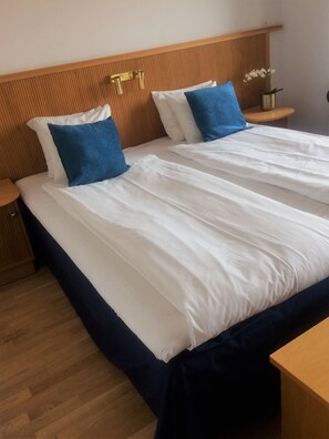 Standard Double or Twin Room | 1 bedroom, desk, blackout drapes, soundproofing