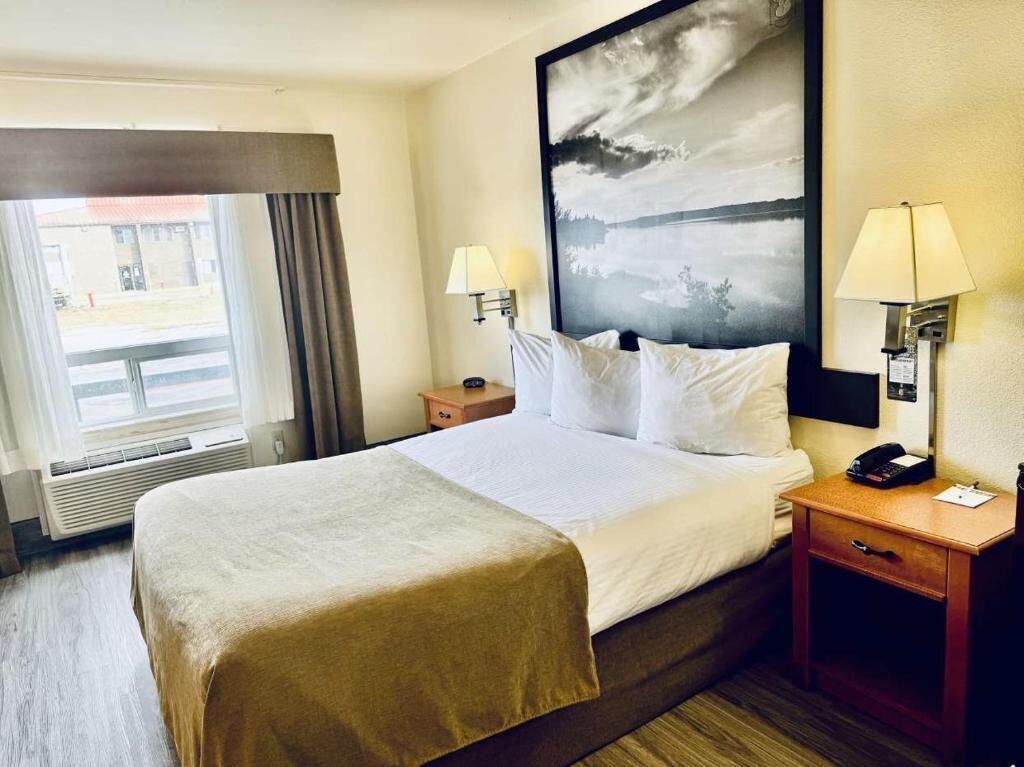 Premium bedding, blackout curtains, iron/ironing board, free WiFi