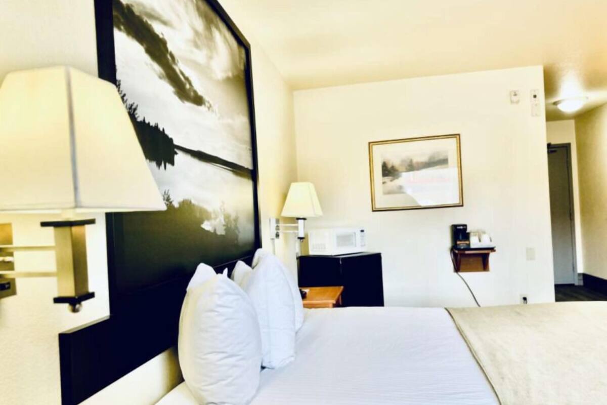 Habitació d'hotel amb un llit gran, una tauleta de nit amb una làmpada, un microones i un quadre al mur.