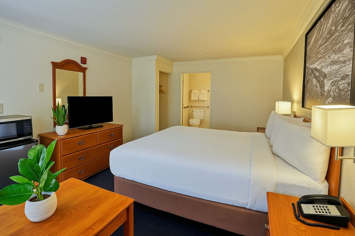 A hotel room with a bed, bedside table, TV, and a desk with a plant.
